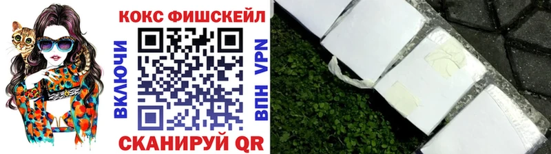 Кокаин FishScale  продажа наркотиков  MEGA ССЫЛКА  Нолинск 
