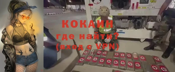 винт Абаза