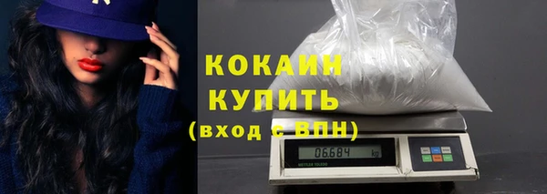 винт Абаза