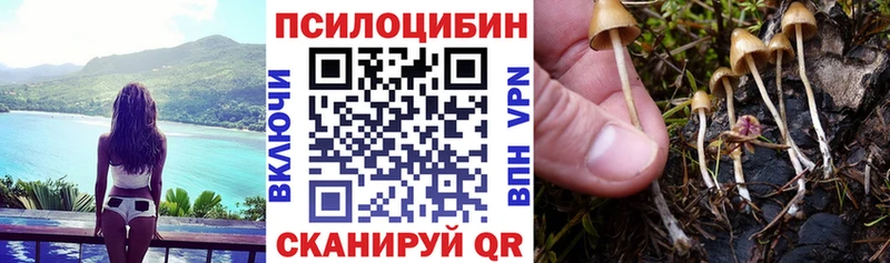 закладка  Нолинск  Галлюциногенные грибы мухоморы 